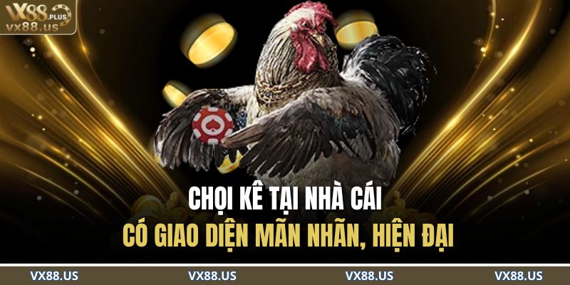 Đá Gà Cựa Dao VX88 – Đấu Trường Kịch Tính Cho Cao Thủ 3 Chọi kê tại nhà cái có giao diện mãn nhãn, hiện đại