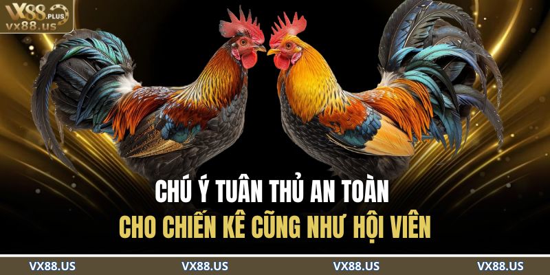 Chú ý tuân thủ an toàn cho chiến kê cũng như hội viên 