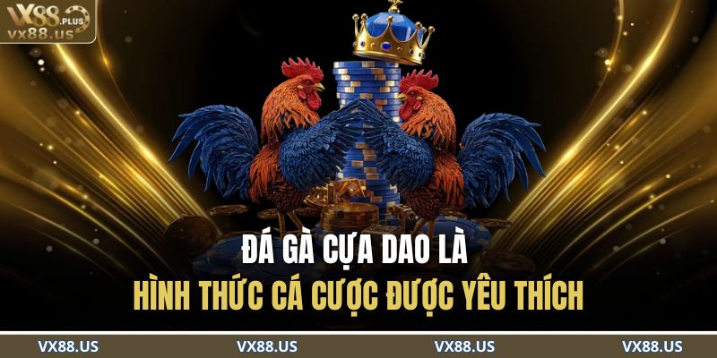 Đá Gà Cựa Dao VX88 – Đấu Trường Kịch Tính Cho Cao Thủ 2 Đá gà cựa dao là hình thức cá cược được yêu thích