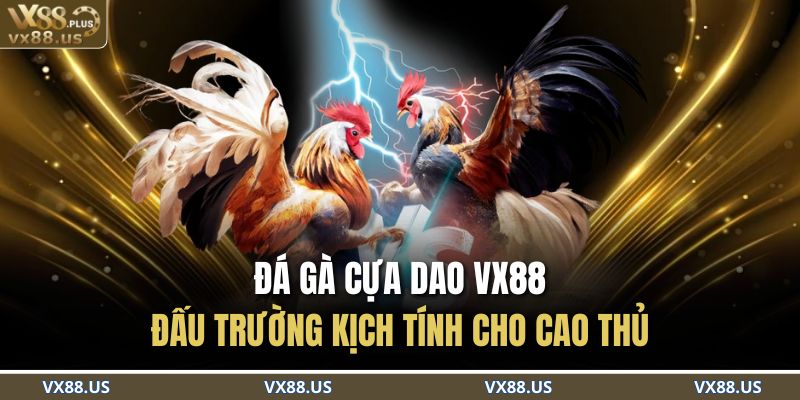 Đá Gà Cựa Dao
