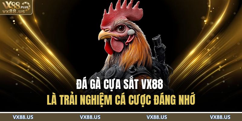 Đá gà cựa sắt VX88 là trải nghiệm cá cược đáng nhớ
