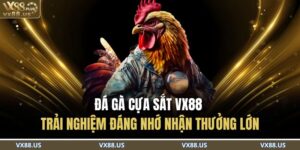 Đá Gà Cựa Sắt VX88 – Trải Nghiệm Đáng Nhớ Nhận Thưởng Lớn 17 Đá Gà Cựa Sắt VX88