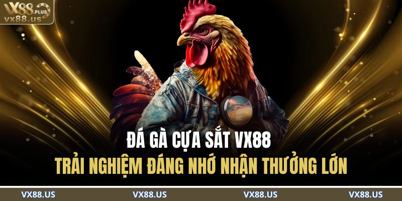 Đá Gà Cựa Sắt VX88