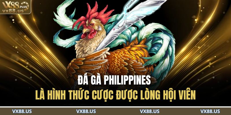 Đá gà Philippines là hình thức cược được lòng hội viên