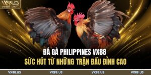 Đá Gà Philippines