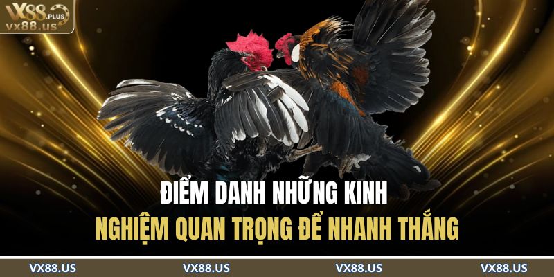 Điểm danh những kinh nghiệm quan trọng để nhanh thắng 