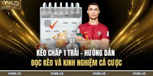 Kèo Chấp 1 Trái - Hướng Dẫn Đọc Kèo và Kinh Nghiệm Cá Cược 14 Kèo Chấp 1 Trái