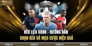 Kèo Lựa VX88 - Hướng dẫn chọn kèo và mẹo cược hiệu quả 12 Kèo Lựa VX88
