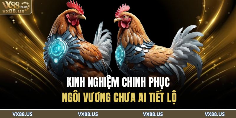Kinh nghiệm chinh phục ngôi vương chưa ai tiết lộ